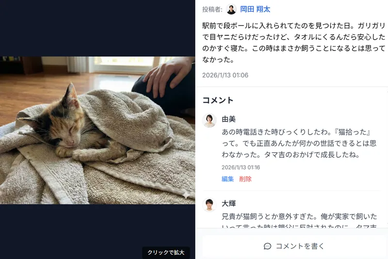 ペット（猫）の想い出