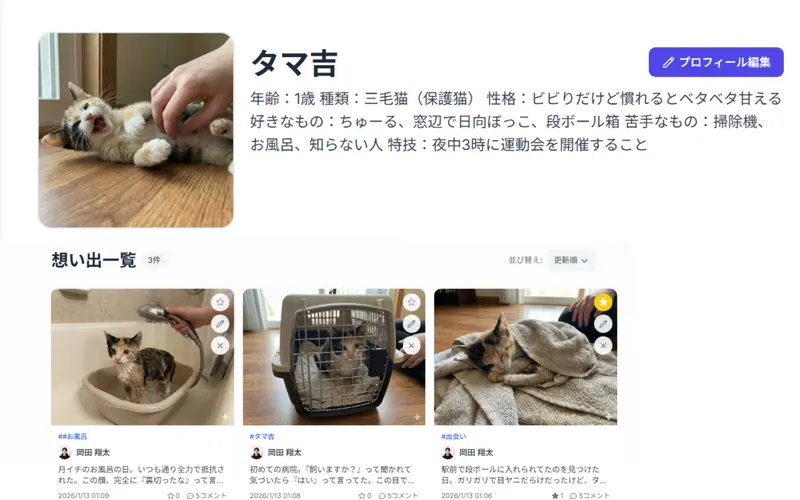 猫の想い出