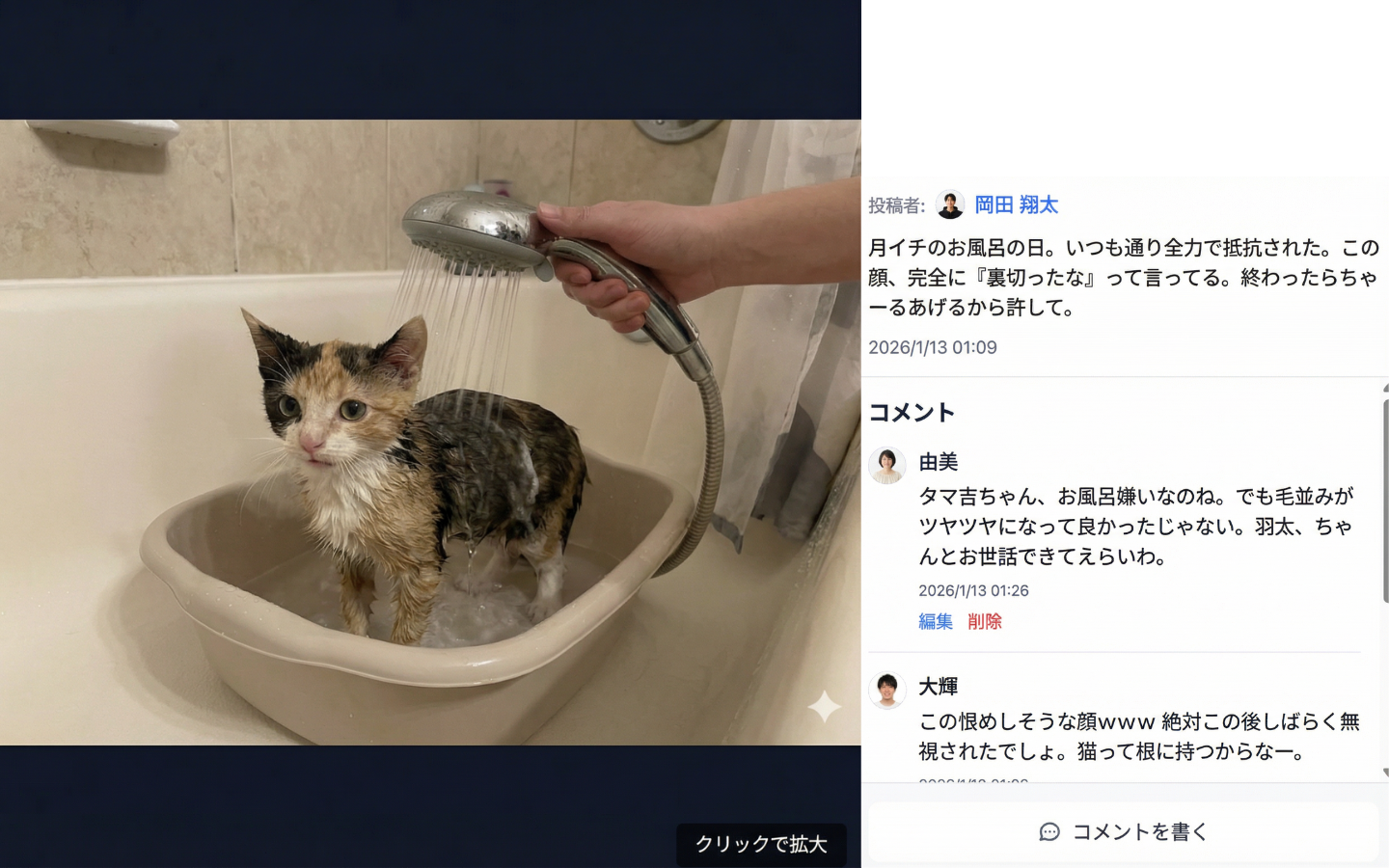 猫へのコメント